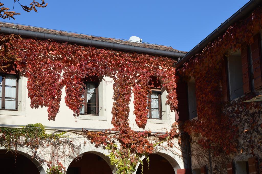 I Giardini Segreti Di Villa Marcello Marinelli ชิซอน ดิ วาลมาริโน ภายนอก รูปภาพ