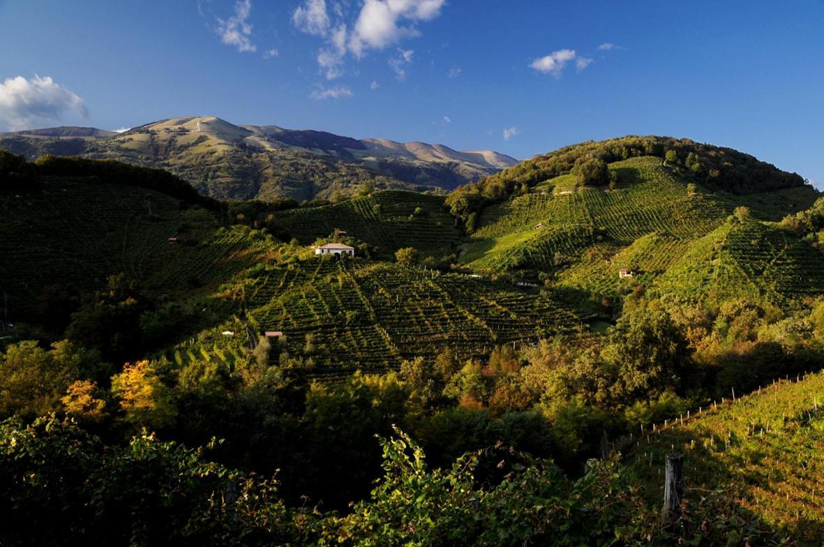 I Giardini Segreti Di Villa Marcello Marinelli ชิซอน ดิ วาลมาริโน ภายนอก รูปภาพ